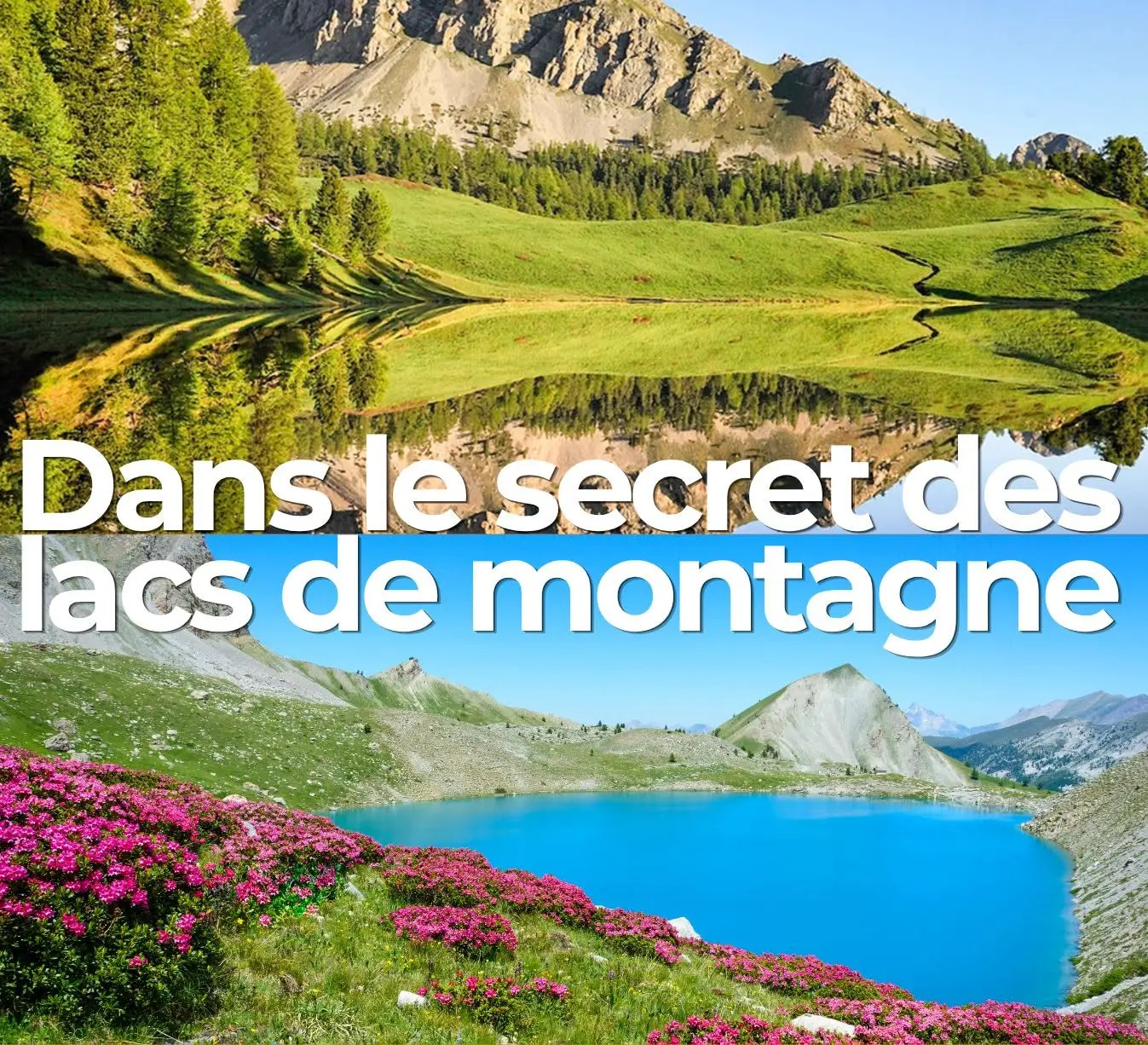 image dans le secret